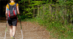 ein Junge mit einem Rucksack, der auf einem Feldweg im Wald spazieren geht